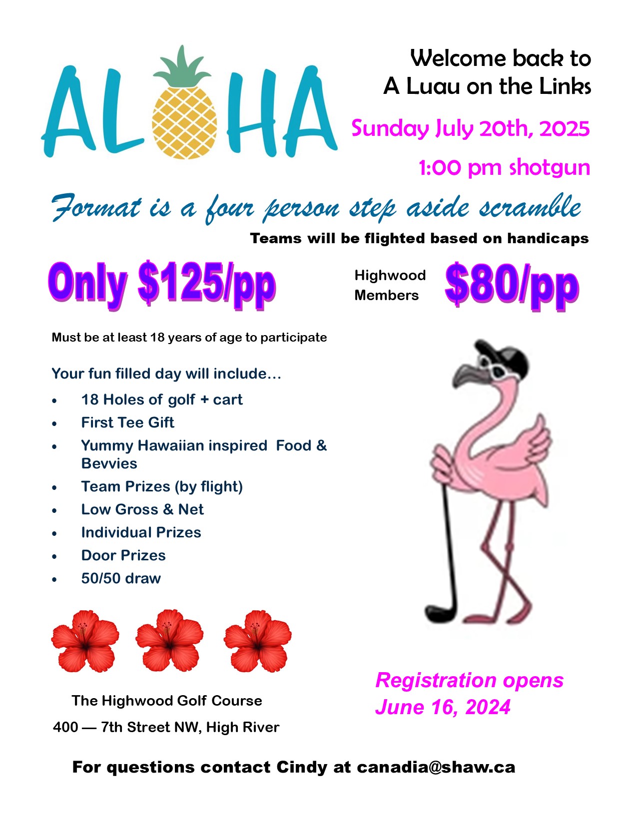 2025 luau poster