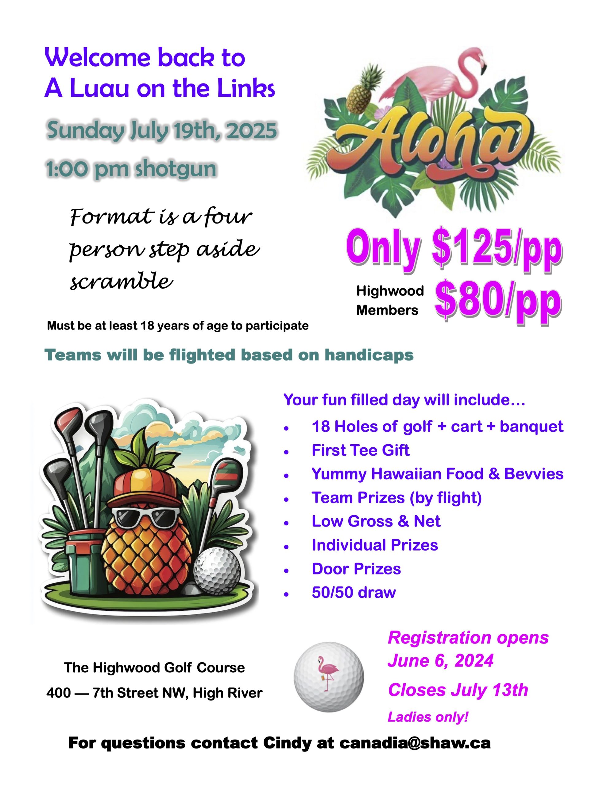 2026 luau poster